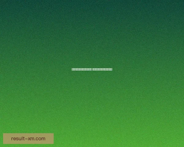 熊猫体育引领体育产业新潮流 打造全新体育消费与体验生态